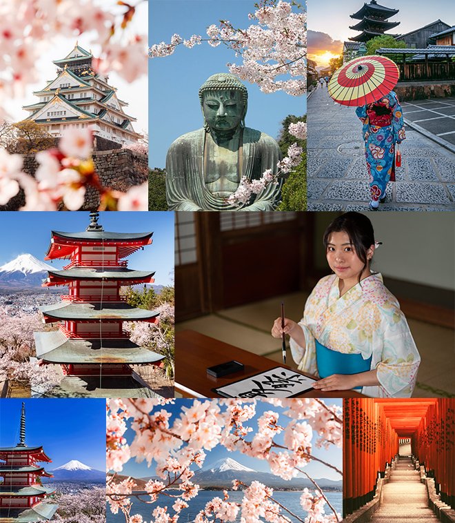 Gallery Images